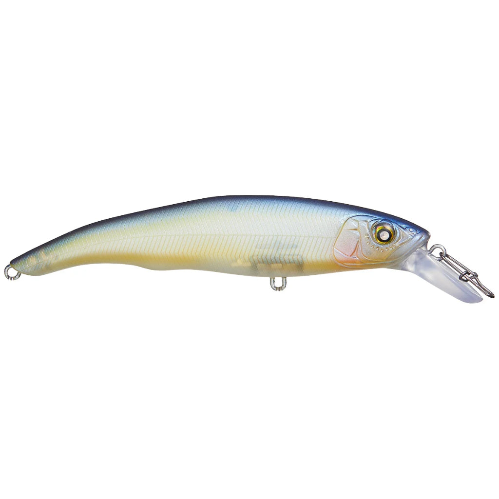 Nishine Lure Works Erie 95SD Jerkbait  Natural Sports – Natural Sports -  The Fishing Store