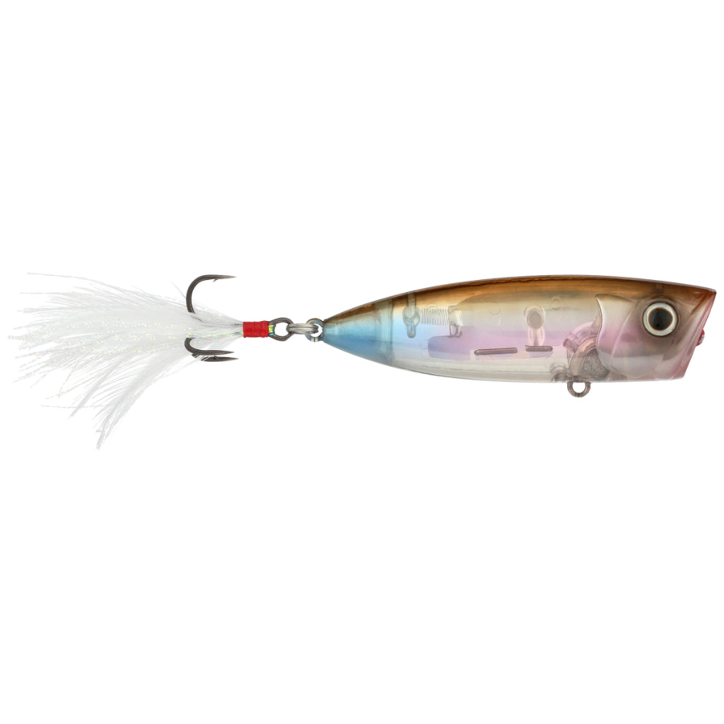 Shimano World Pop Flashboost Popper | Natural Sports – Natural Sports ...