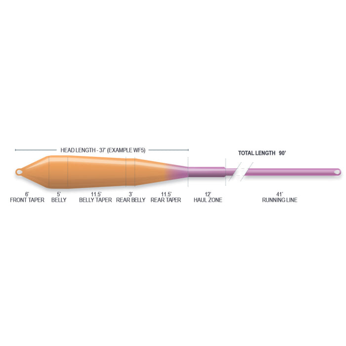 Airflo Superflo Power Taper WF Floating Fly Line
