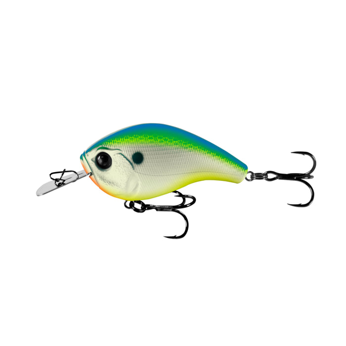 Citrus Shad 13 Fishing Jabber Jaw Squarebill Crankbait