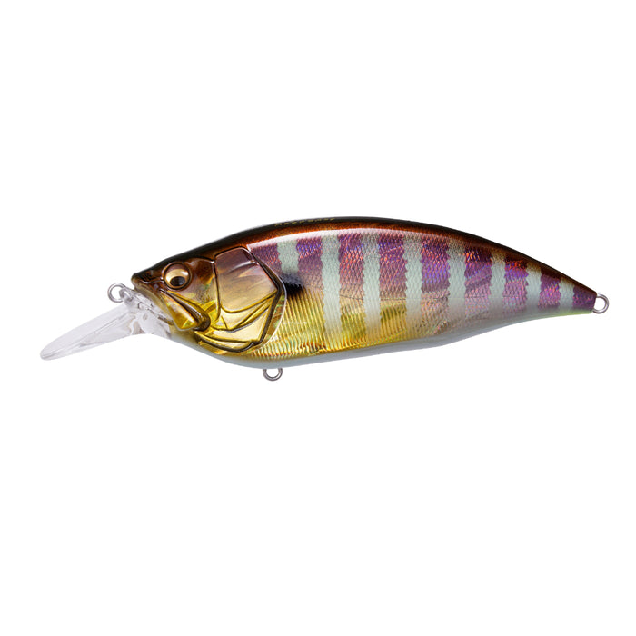 GG Gill Megabass Big-M 4.0 Crankbait Canada