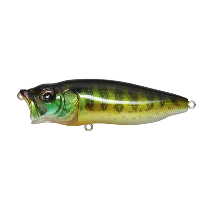 Pumpkin Seed Megabass PopMax Popper Canada