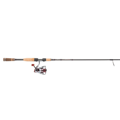 Pflueger President  & Fenwick Eagle Spinning Combo
