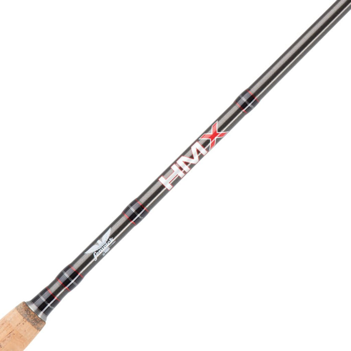 Pflueger President  & Fenwick Eagle Spinning Combo