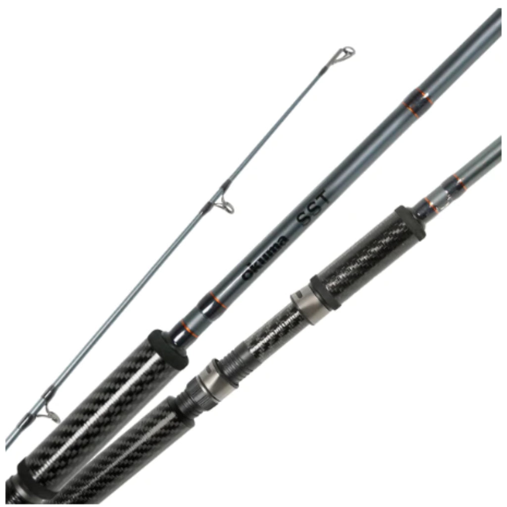 Newbility 24t High Carbon Spinning Fishing Rods 2 Section Camouflage 9FT  Fishing Rods - China Fishing Rod and Spinning Rod price