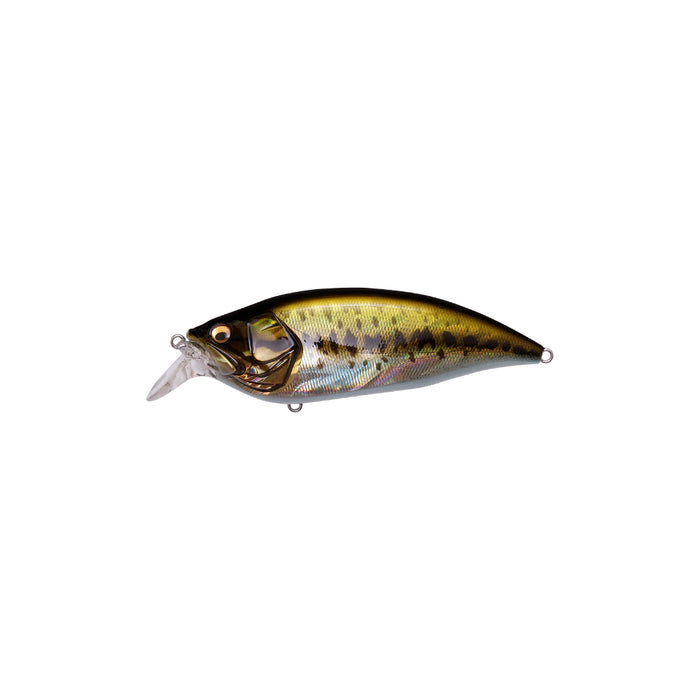 GG Largemouth Megabass Big-M 2.0 Crankbait Canada