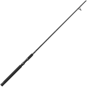 Quantum Accurist Spinning Rod