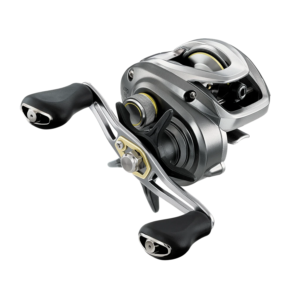 Daiwa Aird 80H Casting Reel | Natural Sports — Natural Sports