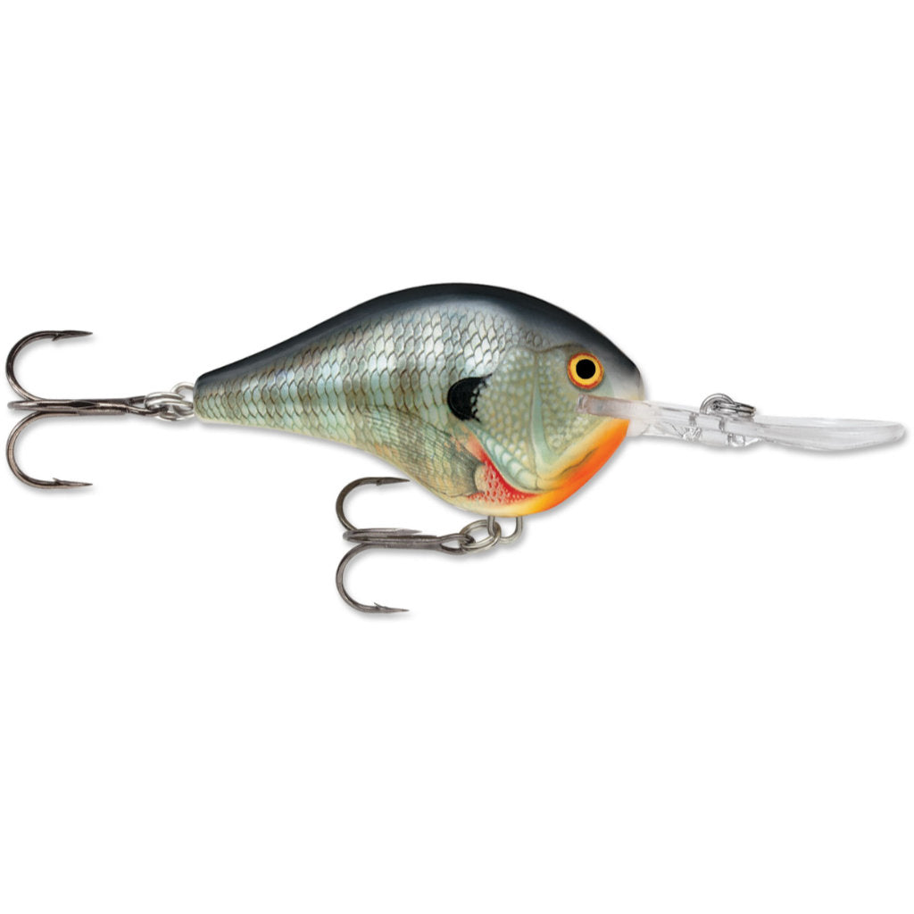 Rapala DT (Dives-To) Series Crankbait – Natural Sports - The