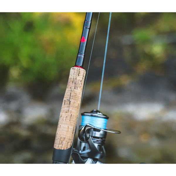 Daiwa CDN Custom Spinning Rod  Natural Sports – Natural Sports - The  Fishing Store