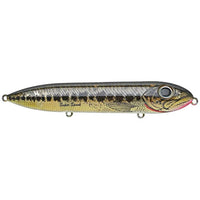 Heddon Lures X923620 Super Spook Junior Fishing Lures, Chartreuse, 3 1/2,  Lures -  Canada