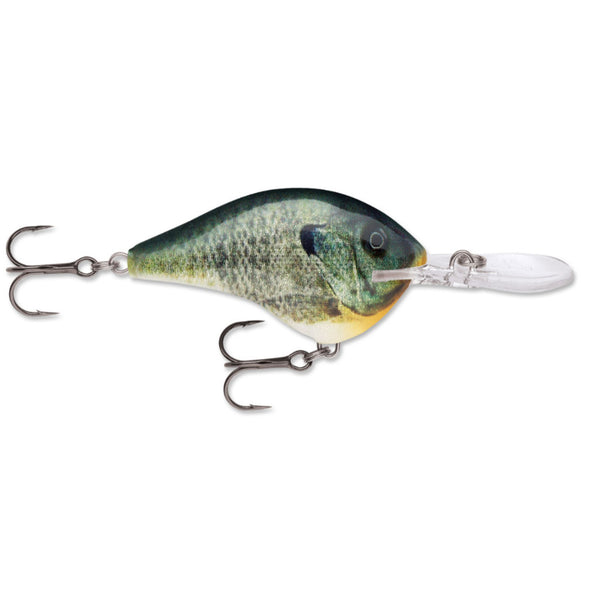 Rapala DT (Dives-To) Series Crankbait – Natural Sports - The Fishing Store