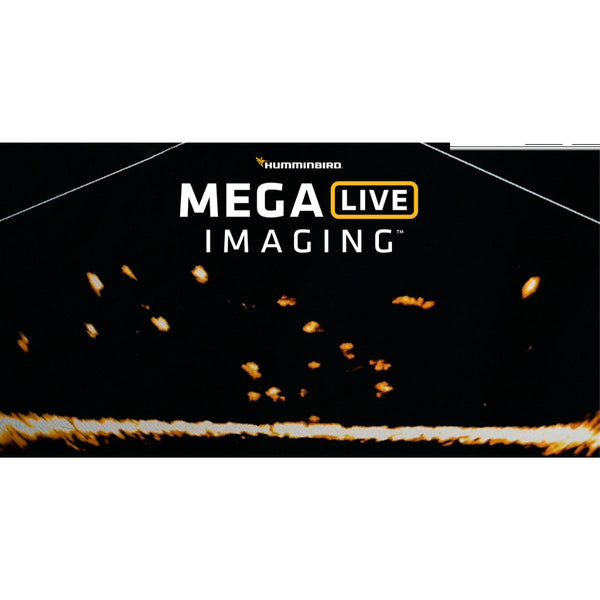 LIVE Humminbird Mega Live Imaging