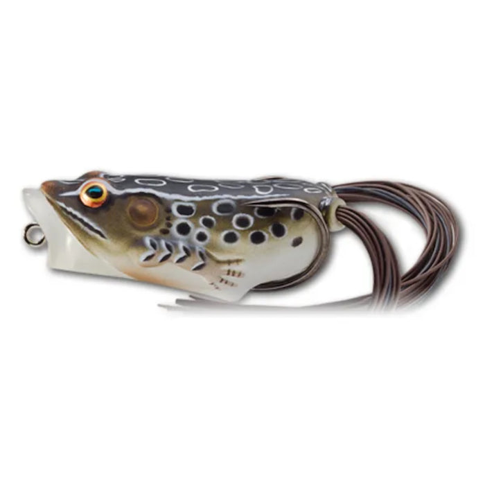 LIVE TARGET Hollow Body Frog Popper - 2.5 Inch Topwater Fishing Lure Designed By Scott Martin