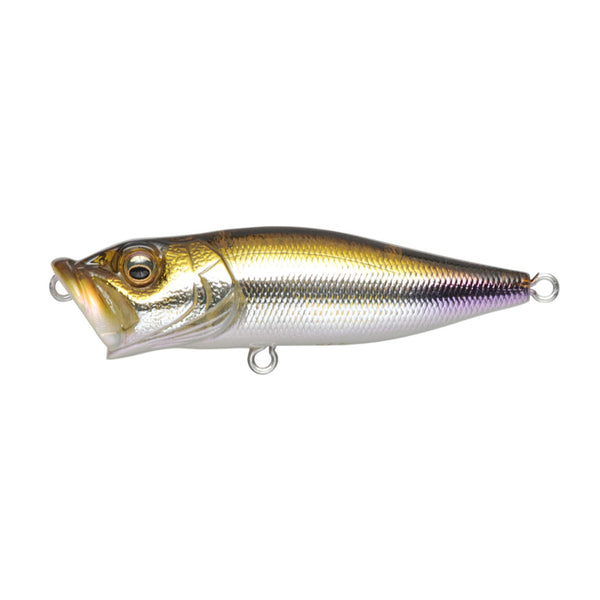 Megabass Pop-X Topwater Popper  Natural Sports – Natural Sports - The  Fishing Store