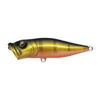 Megabass Pop-X Topwater Popper