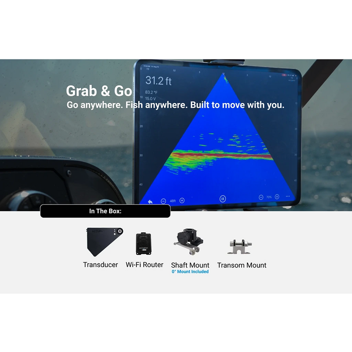 Accuphy PingLive Mini