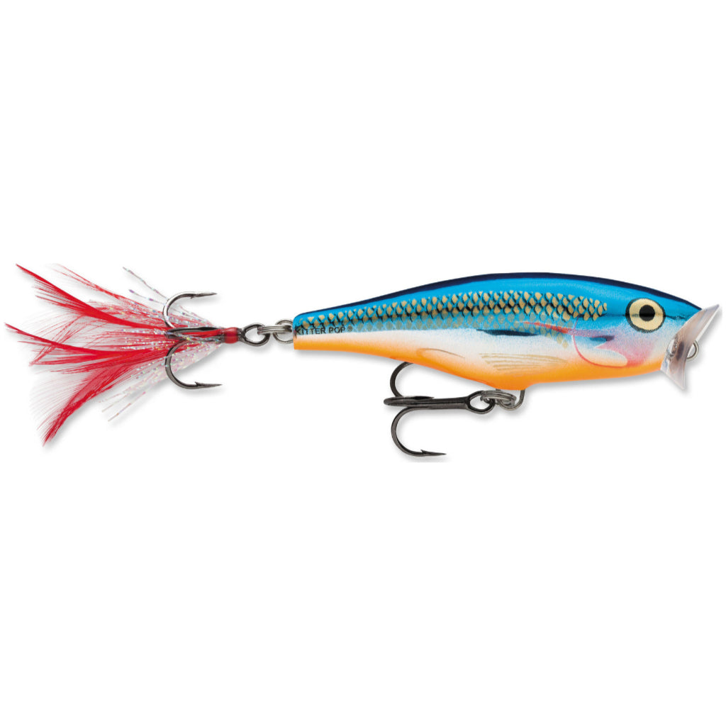  Rapala Skitter Pop 07 Fishing lure, 2.75-Inch, Gold Chrome :  Fishing Bait Traps : Sports & Outdoors