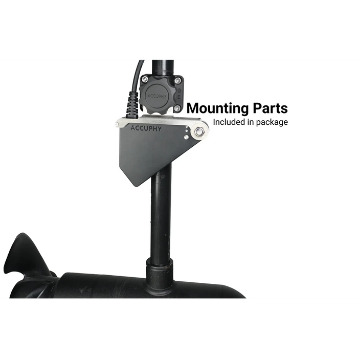 Accuphy PingLive Mini