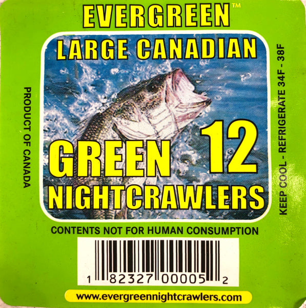 Evergreen Large Canadian Green Worms (1 Dozen) – Natural Sports