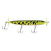 Berkley Spin Rocket - Natural Sports - The Fishing Store