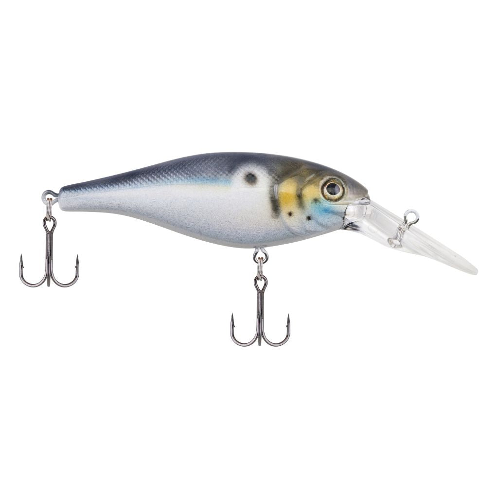 The Bad Shad catches 'em! The Berkley Bad Shad has an irresistible