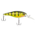 Berkley Bad Shad Crankbait - Yellow Perch