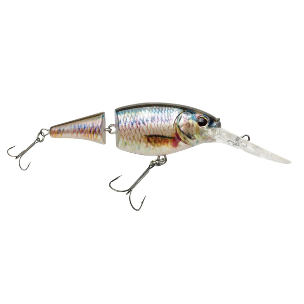 Berkley Jointed Flicker Shad HD Crankbait – Natural Sports - The Fishing  Store