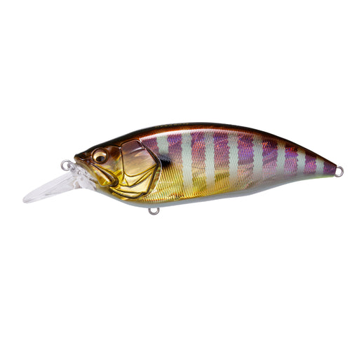 GG Gill Megabass Big-M 4.0 Crankbait Canada