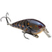 Blue Craw Strike King KVD Squarebill Crankbait 