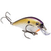 TN Shad 2.0 Strike King KVD Squarebill Crankbait 