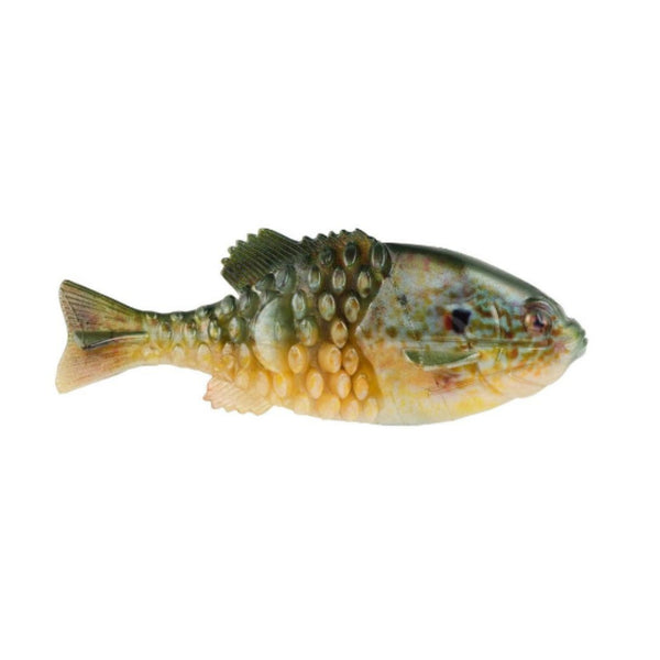Berkley PowerBait Gilly  Natural Sports – Natural Sports - The Fishing  Store