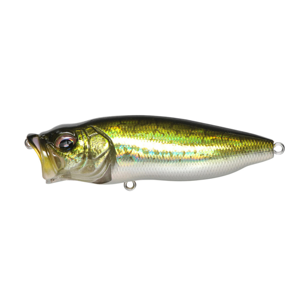 Megabass PopMax Popper | Natural Sports — Natural Sports - The