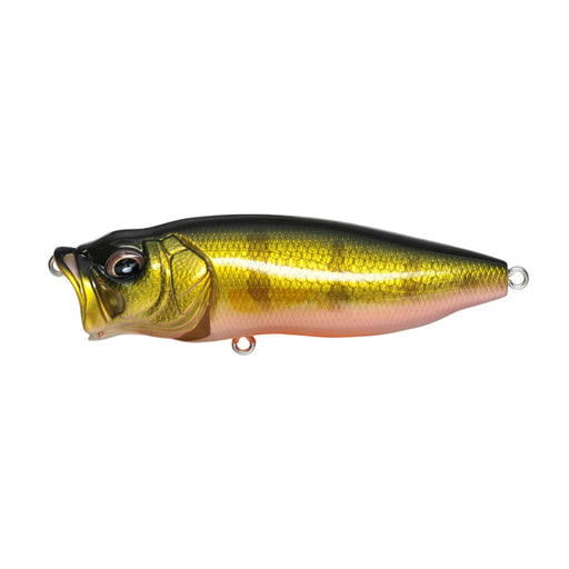 Perch Megabass PopMax Popper Canada