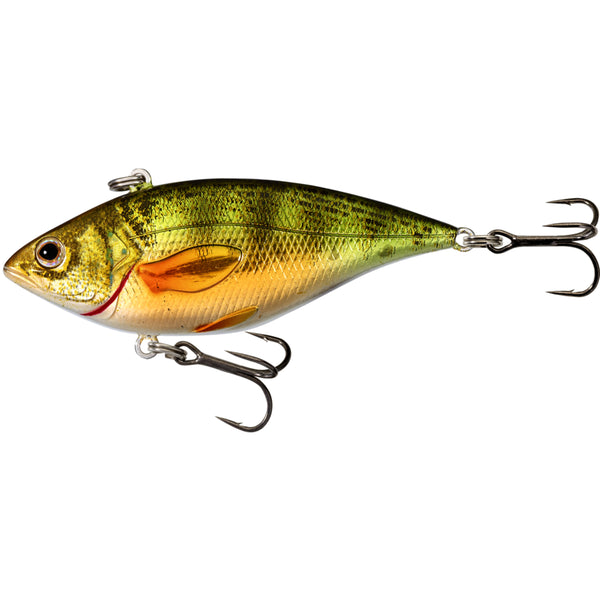 Live Target Yellow Perch Lipless Crankbait | Natural Sports the Fishing Store