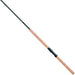 Daiwa North Coast SS Mooching Rod - Natural Sports - The Fishing Store