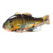 RT Bluegill - Jackall Gantarel Jr. 