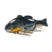 RT Spawn Gill - Jackall Gantarel Jr. 