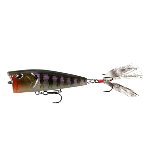 Rusty Bream 13 Poppy Mc Pop Face Bass Popper