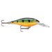 Perch Rapala Shad Rap