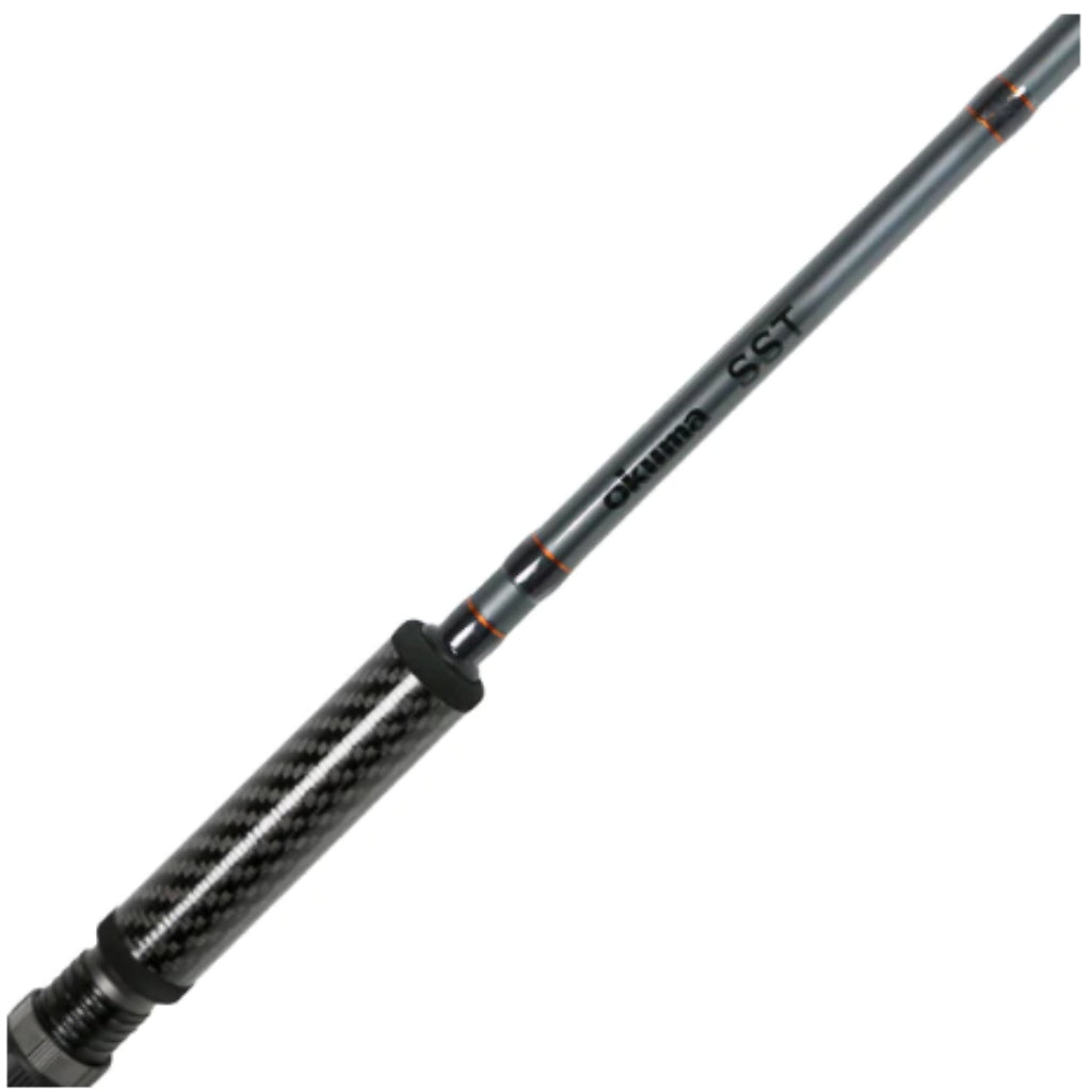 9'6 SST Salmon 2-Piece Spinning Rod, Medium Light Power