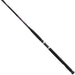 Daiwa AccuDepth Downrigger Trolling Rod - Natural Sports - The Fishing Store