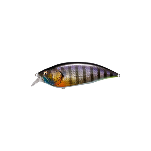 GG Wild Gill Megabass Big-M 2.0 Crankbait Canada