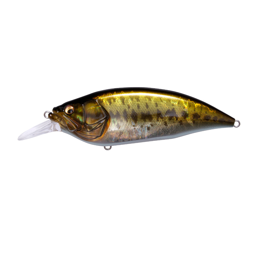 Megabass Big-M 4.0 Crankbait Canada — Natural Sports - The