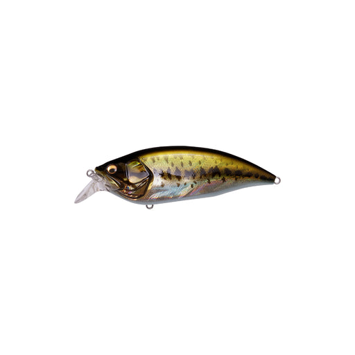 GG Largemouth Megabass Big-M 2.0 Crankbait Canada