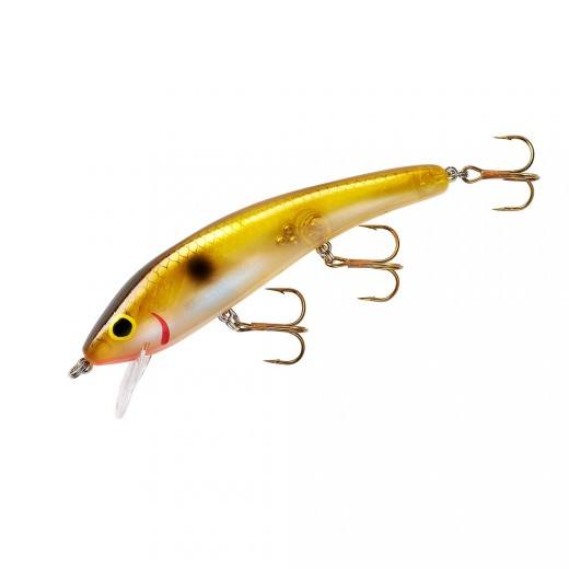 Black Ayu Cotton Cordell Ripplin Red Fin