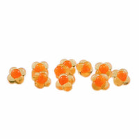 Natural Orange with Orange Centre Cleardrift Embryo Egg Clusters for Steelhead Fishing