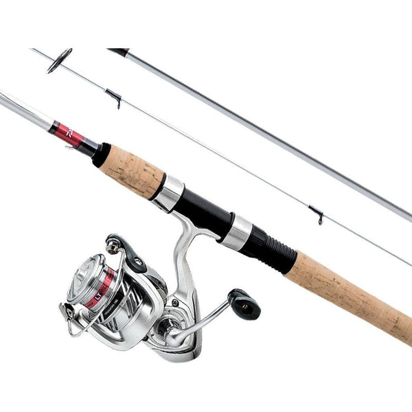 Daiwa Procaster 80 Baitcast Combo – Natural Sports - The Fishing Store