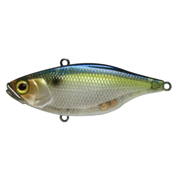 Jackall TN60 Disc Knocker - SG Threadfin Shad