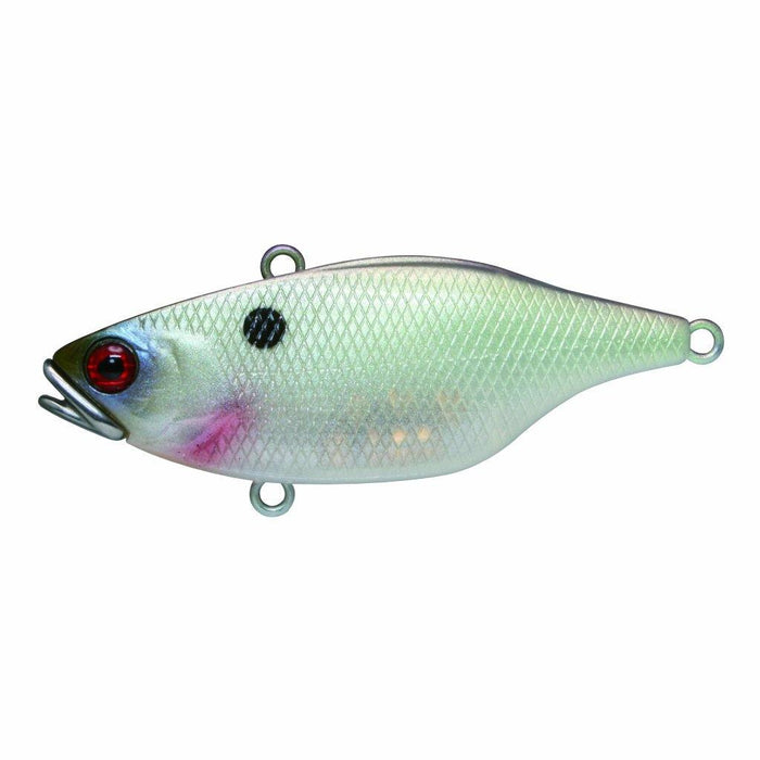 Jackall TN60 Disc Knocker - TO Muddy Shad